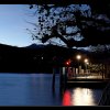 20101113_018